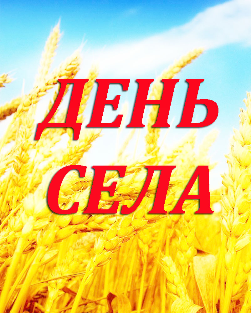 День села